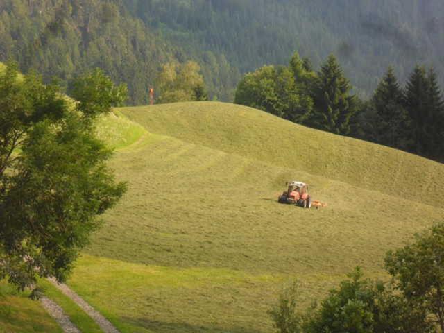 Hausbergerhof Gaestehaus Ainberger 布里克斯莱格 外观 照片